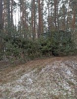 FuRRZr-aAAEjTUk.jpeg