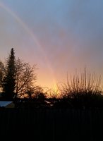 IMG_20220408_193711.jpg