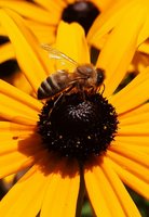20200825_100808.jpg