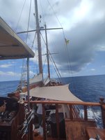 IMG_20230621_143316.jpg