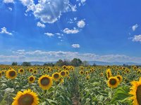 IMG_0896.jpeg