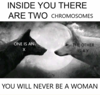 1688210957656.png