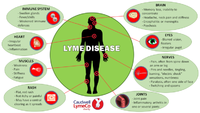 lyme-dsiease-symptoms.png
