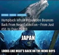1694012473801.png