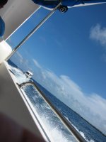 DSC01137.jpg
