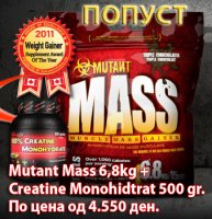 Paket Mutant Mass.jpg