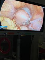 IMG_4036.jpeg
