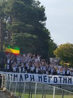 IMG_4806.jpeg