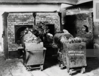 Screenshot 2023-10-24 at 22-56-00 These are the actual death furnaces of Auschwitz--now part o...png