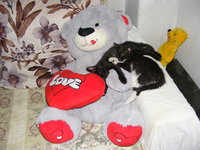 DSCF0663.JPG
