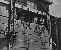 holocaust-jews-in-a-railway-car-7afb7c-1024.jpg