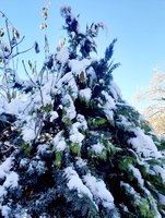 20231126_130929.jpg