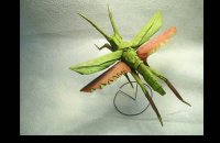 origami-insekti-0.jpg