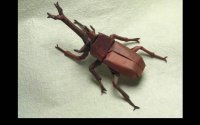 origami-insekti-1.jpg