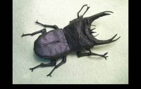 origami-insekti-8.jpg