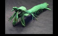 origami-insekti-10.jpg