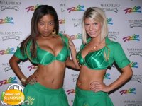 st_patricks_day_05.jpg