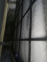 IMG_20231217_095003.jpg