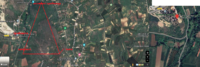 1704906102621.png