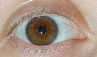 IMG_20240127_001827.jpg