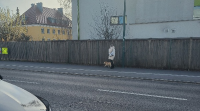 1709543088848.png