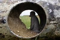 brooklyn-street-art-isaac-cordal-brussels-3-web.jpg