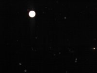 DSC05825.JPG
