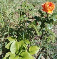IMG_20240410_093022~2.jpg