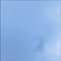 floaters.gif