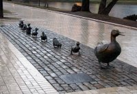 ducklings-monument.jpg