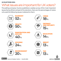 Interactive_UK-Elections-in-maps-and-charts-2024_5_Key-issues-1719503121.png