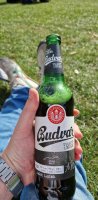 budvar dark.jpg