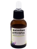 Katzenbart_Orthosiphon_stamineus..jpg