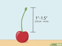 v4-460px-Tie-a-Knot-in-a-Cherry-Stem-With-Your-Tongue-Step-1-Version-4.jpg