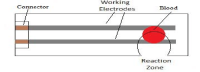 Schematic-diagram-of-test-strips.png