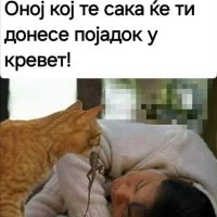 1000003425.jpg