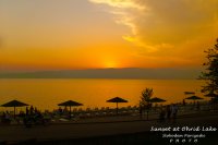 IMG_3597-titled.jpg