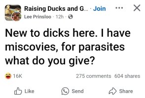 Screenshot_20250806_110824_Facebook.jpg