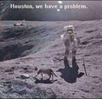 1754797093617.jpeg
