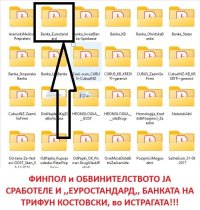 IMG_2383.jpeg