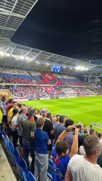 IMG_3910.jpeg