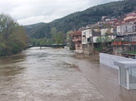 IMG_0502.jpeg
