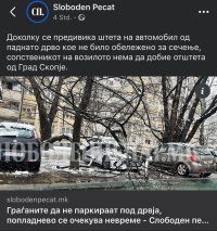 IMG_3160.jpeg