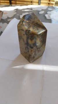 20250622_160526.jpg