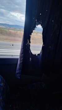 IMG_7886.jpeg