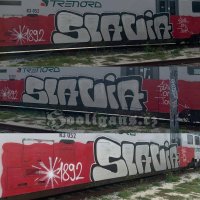 IMG_8104.jpeg