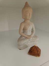 IMG_20251009_104345.jpg