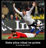 neke-ptice-nikad-ne-p.jpg