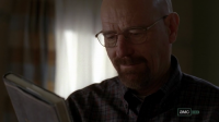 500x1000px-LL-bf9e3150_breakingbadleavesofgrassvlcsnap-126942.png