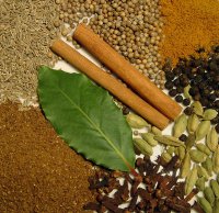 Garam_Masala_new_2008-1.jpg